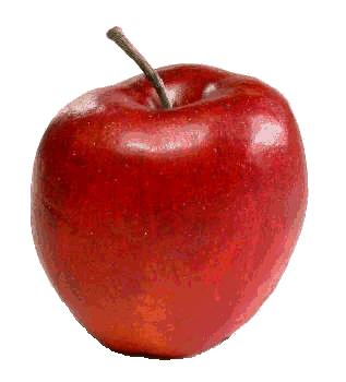 fruit (28).gif